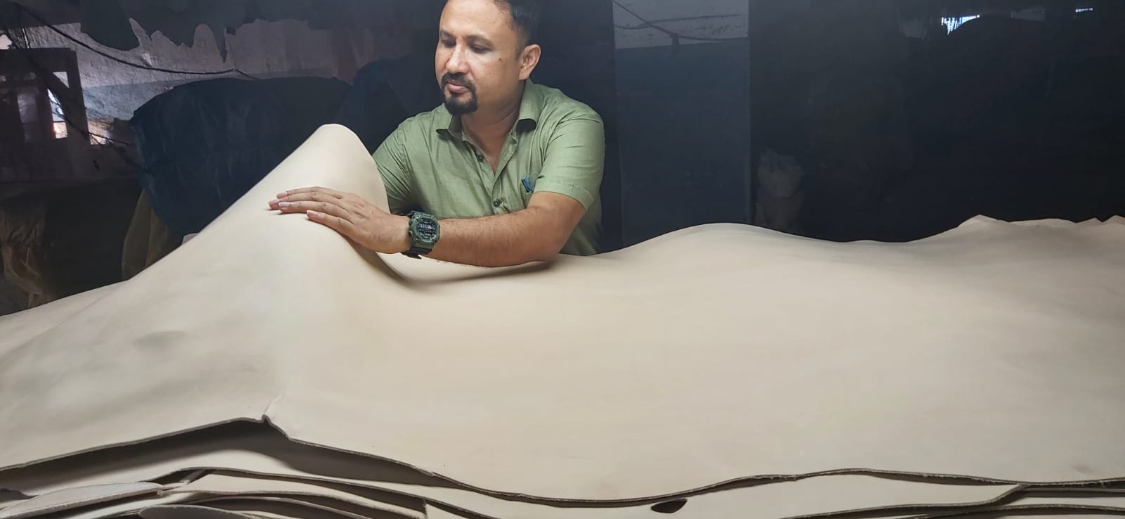 Leather inspection
