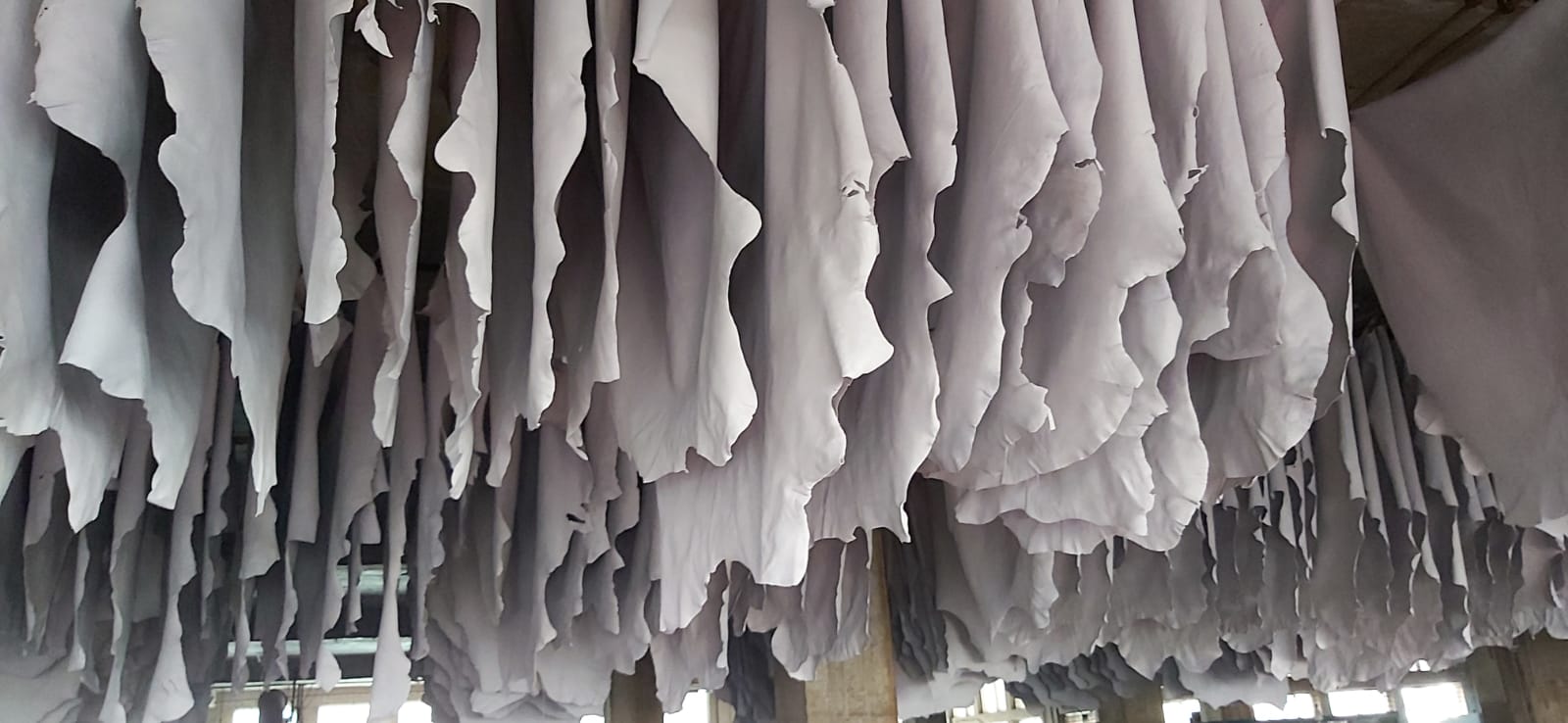 Crust leather drying process